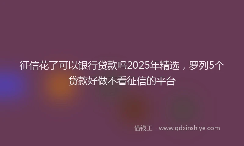 征信花了可以银行贷款吗2025年精选，罗列5个贷款好做不看征信的平台
