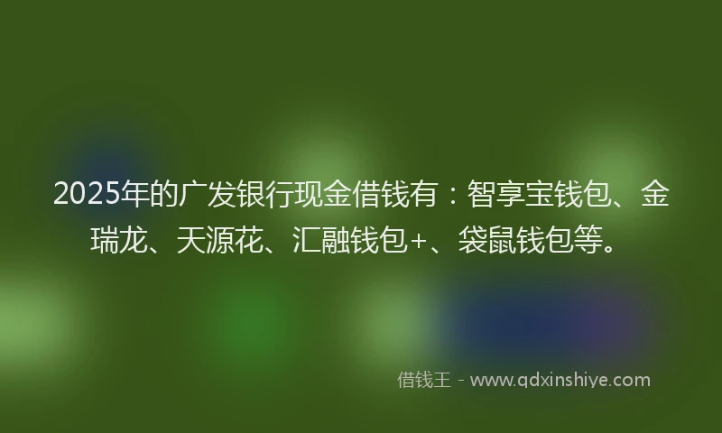 2025年的广发银行现金借钱有：智享宝钱包、金瑞龙、天源花、汇融钱包+、袋鼠钱包等。
