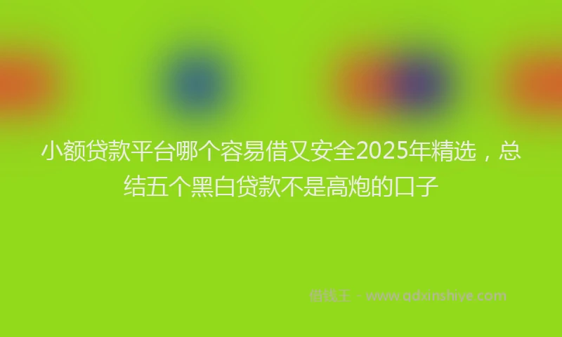 小额贷款平台哪个容易借又安全2025年精选，总结五个黑白贷款不是高炮的口子