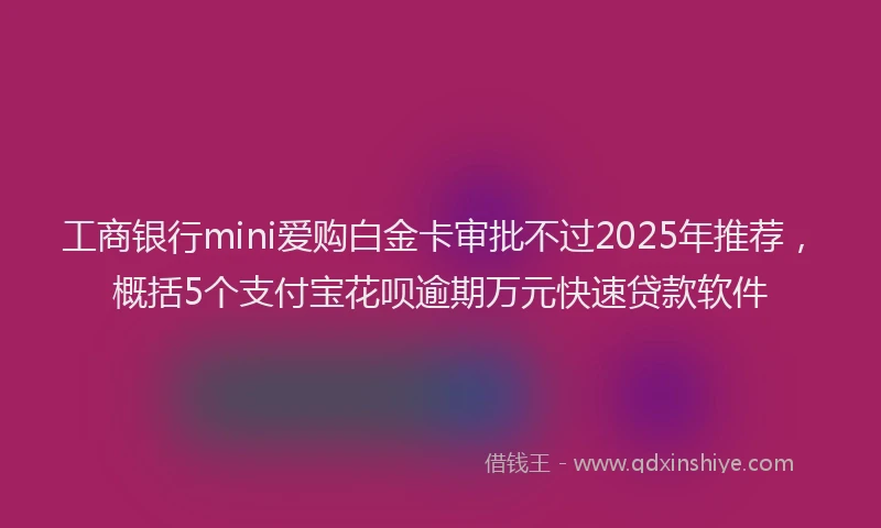 工商银行mini爱购白金卡审批不过2025年推荐，概括5个支付宝花呗逾期万元快速贷款软件