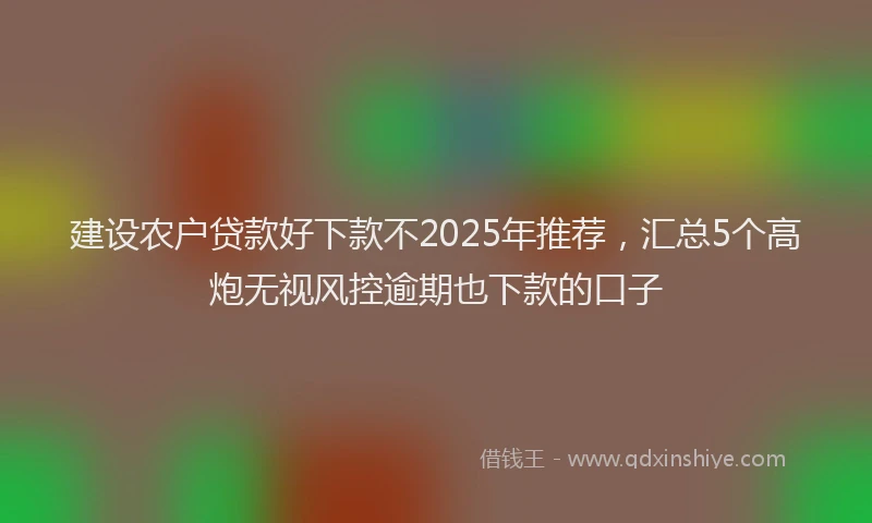 建设农户贷款好下款不2025年推荐，汇总5个高炮无视风控逾期也下款的口子