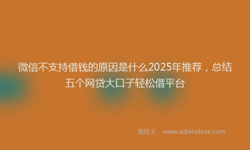 微信不支持借钱的原因是什么2025年推荐，总结五个网贷大口子轻松借平台