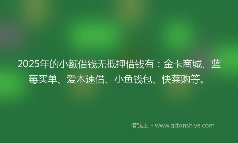 2025年的小额借钱无抵押借钱有：金卡商城、蓝莓买单、爱木速借、小鱼钱包、快莱购等。