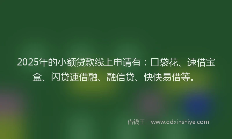 2025年的小额贷款线上申请有：口袋花、速借宝盒、闪贷速借融、融信贷、快快易借等。