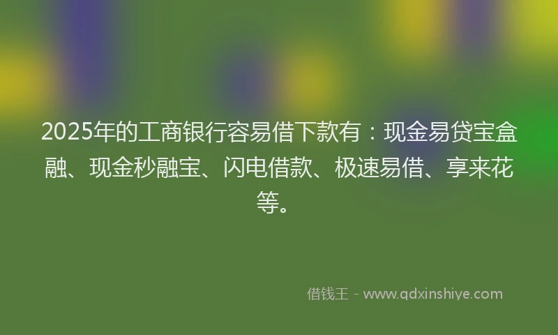 2025年的工商银行容易借下款有：现金易贷宝盒融、现金秒融宝、闪电借款、极速易借、享来花等。