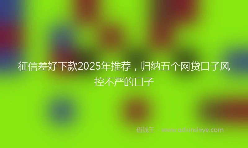征信差好下款2025年推荐，归纳五个网贷口子风控不严的口子