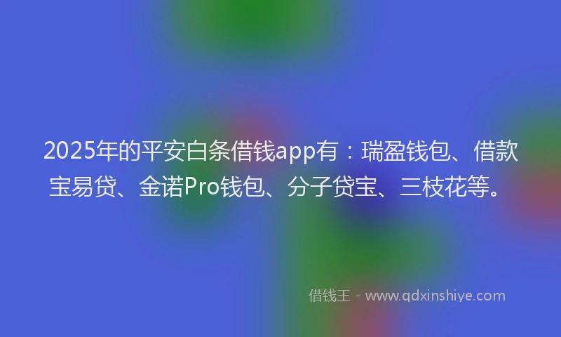 2025年的平安白条借钱app有：瑞盈钱包、借款宝易贷、金诺Pro钱包、分子贷宝、三枝花等。