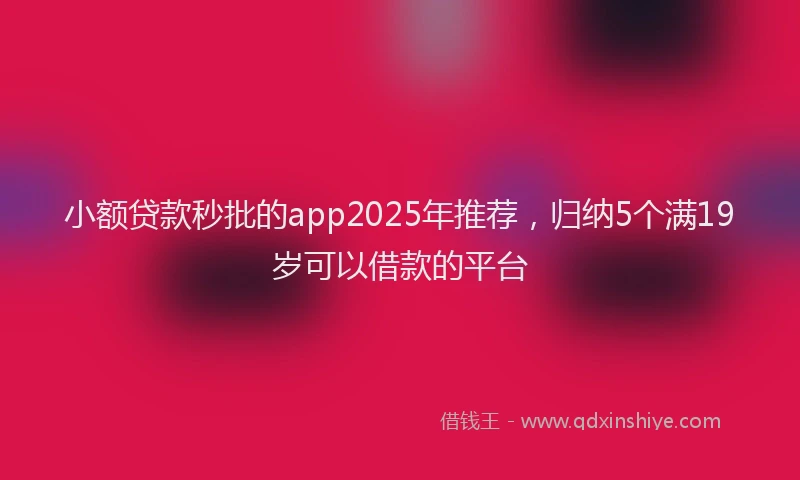 小额贷款秒批的app2025年推荐，归纳5个满19岁可以借款的平台