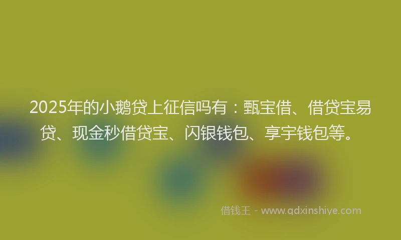 2025年的小鹅贷上征信吗有：甄宝借、借贷宝易贷、现金秒借贷宝、闪银钱包、享宇钱包等。