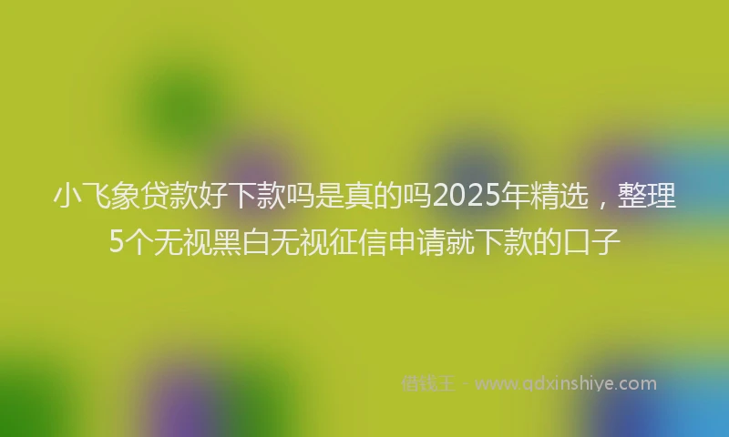 小飞象贷款好下款吗是真的吗2025年精选，整理5个无视黑白无视征信申请就下款的口子