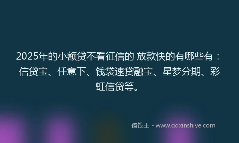 2025年的小额贷不看征信的 放款快的有哪些有：信贷宝、任意下、钱袋速贷融宝、星梦分期、彩虹信贷等。