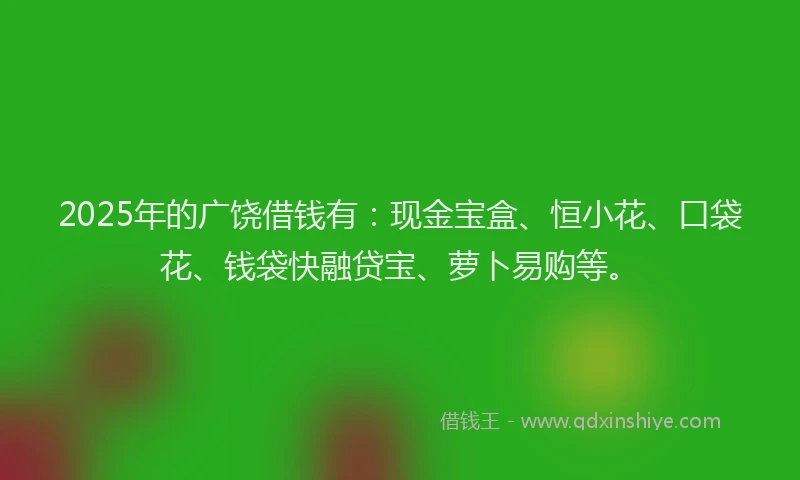 2025年的广饶借钱有：现金宝盒、恒小花、口袋花、钱袋快融贷宝、萝卜易购等。