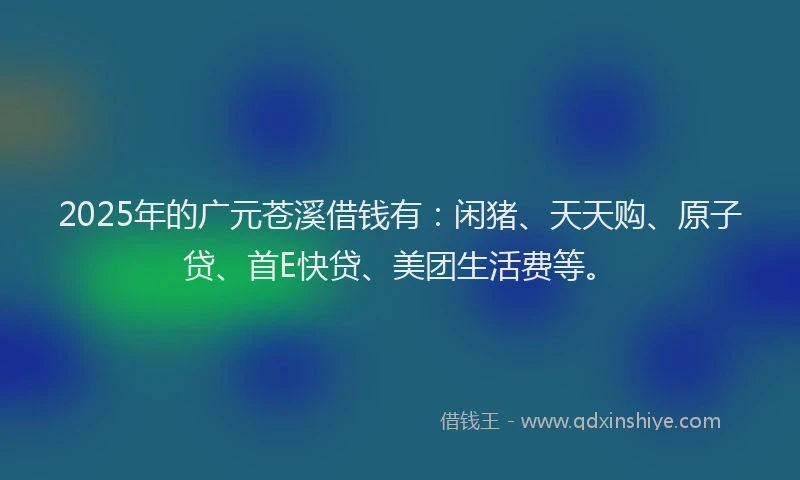 2025年的广元苍溪借钱有：闲猪、天天购、原子贷、首E快贷、美团生活费等。
