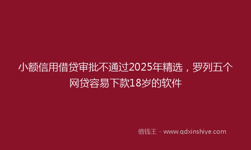 小额信用借贷审批不通过2025年精选，罗列五个网贷容易下款18岁的软件