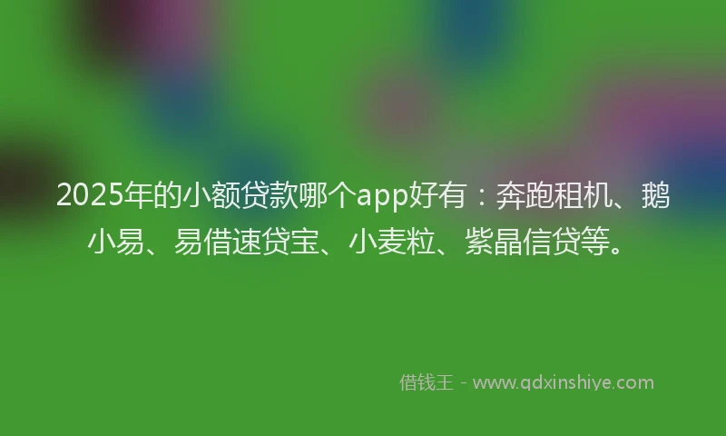 2025年的小额贷款哪个app好有：奔跑租机、鹅小易、易借速贷宝、小麦粒、紫晶信贷等。