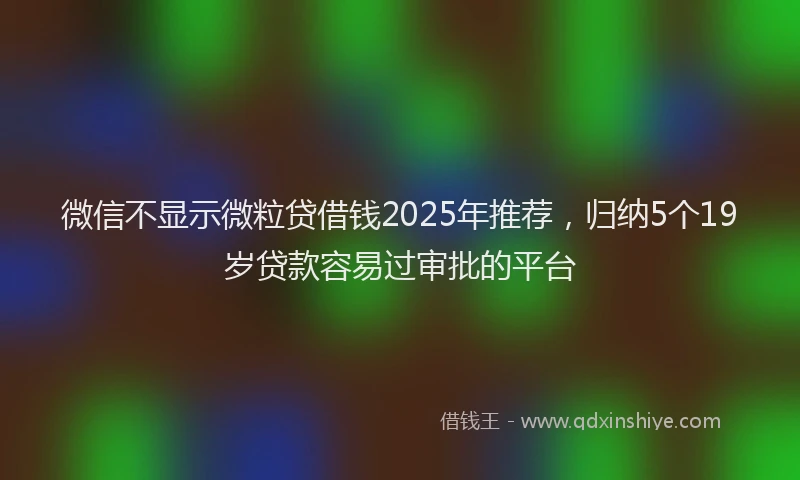 微信不显示微粒贷借钱2025年推荐，归纳5个19岁贷款容易过审批的平台