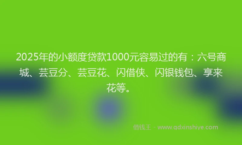 2025年的小额度贷款1000元容易过的有：六号商城、芸豆分、芸豆花、闪借侠、闪银钱包、享来花等。