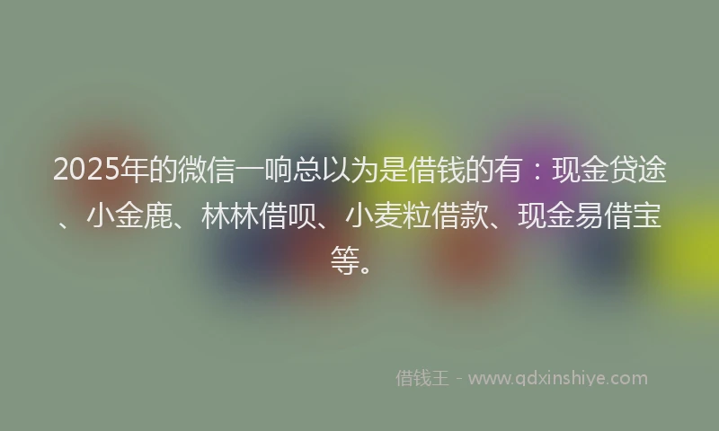 2025年的微信一响总以为是借钱的有：现金贷途、小金鹿、林林借呗、小麦粒借款、现金易借宝等。