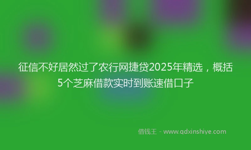 征信不好居然过了农行网捷贷2025年精选，概括5个芝麻借款实时到账速借口子