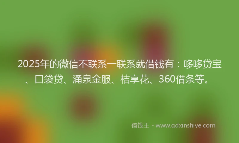2025年的微信不联系一联系就借钱有：哆哆贷宝、口袋贷、涌泉金服、桔享花、360借条等。