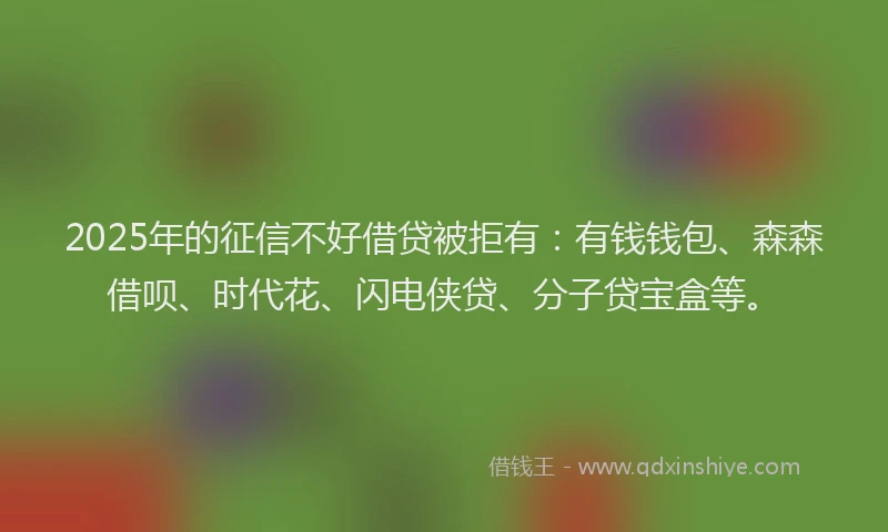 2025年的征信不好借贷被拒有：有钱钱包、森森借呗、时代花、闪电侠贷、分子贷宝盒等。