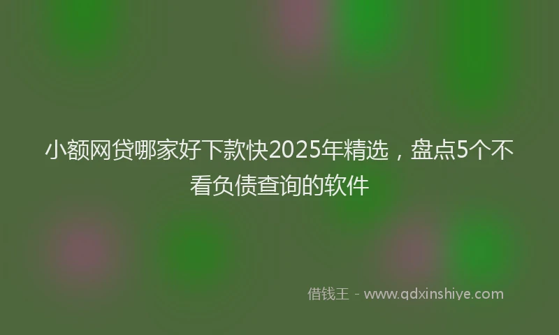 小额网贷哪家好下款快2025年精选，盘点5个不看负债查询的软件