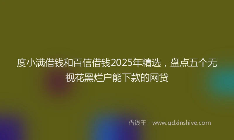 度小满借钱和百信借钱2025年精选，盘点五个无视花黑烂户能下款的网贷