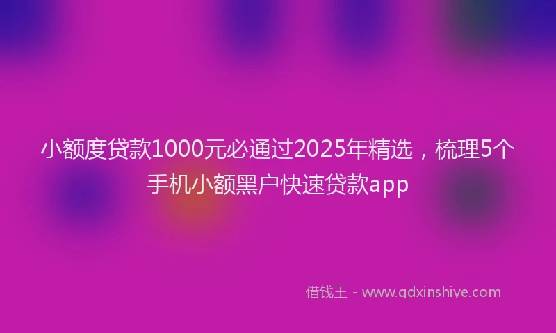小额度贷款1000元必通过2025年精选，梳理5个手机小额黑户快速贷款app