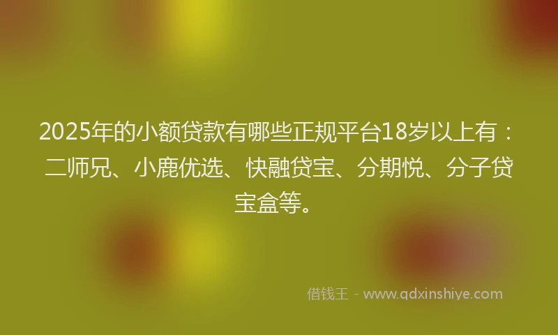 2025年的小额贷款有哪些正规平台18岁以上有：二师兄、小鹿优选、快融贷宝、分期悦、分子贷宝盒等。