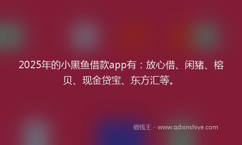2025年的小黑鱼借款app有：放心借、闲猪、榕贝、现金贷宝、东方汇等。