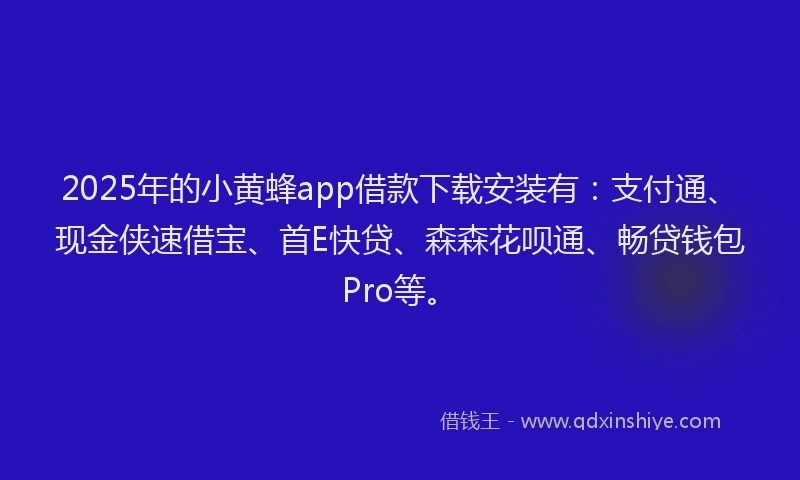 2025年的小黄蜂app借款下载安装有：支付通、现金侠速借宝、首E快贷、森森花呗通、畅贷钱包Pro等。