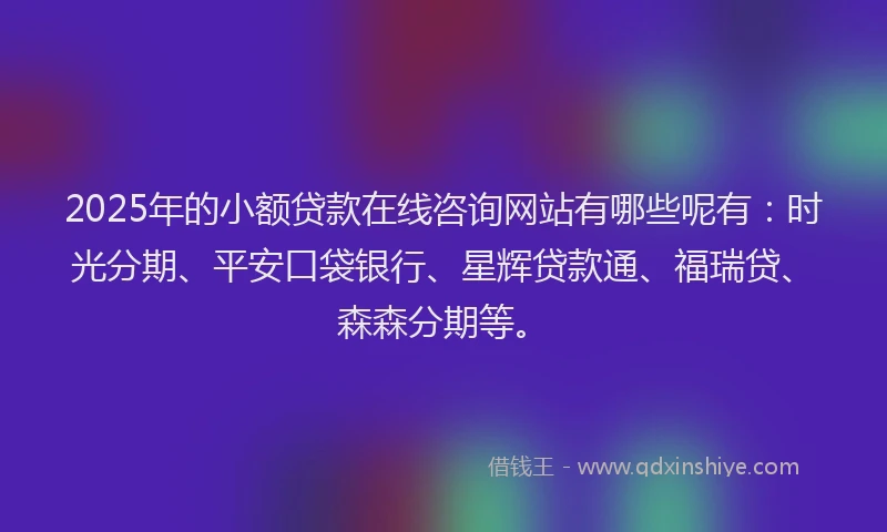 2025年的小额贷款在线咨询网站有哪些呢有：时光分期、平安口袋银行、星辉贷款通、福瑞贷、森森分期等。