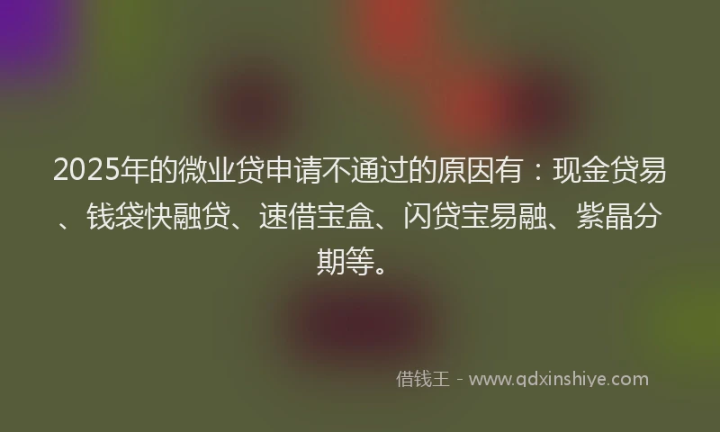 2025年的微业贷申请不通过的原因有：现金贷易、钱袋快融贷、速借宝盒、闪贷宝易融、紫晶分期等。