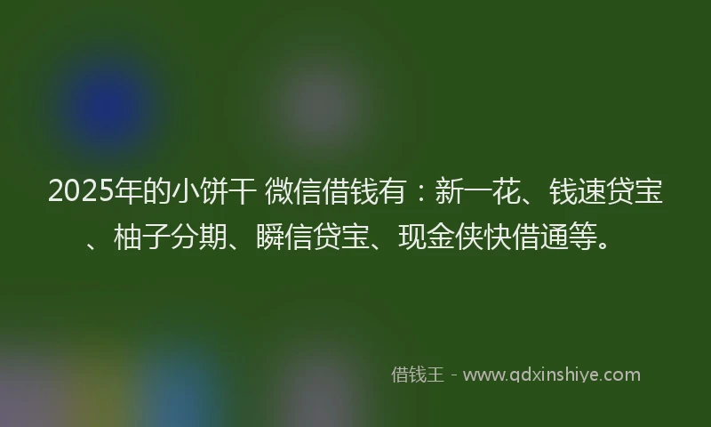 2025年的小饼干 微信借钱有：新一花、钱速贷宝、柚子分期、瞬信贷宝、现金侠快借通等。