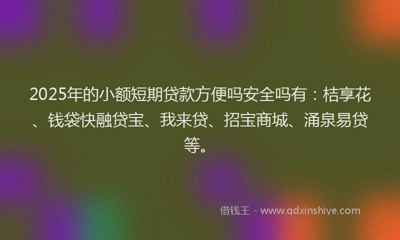2025年的小额短期贷款方便吗安全吗有：桔享花、钱袋快融贷宝、我来贷、招宝商城、涌泉易贷等。