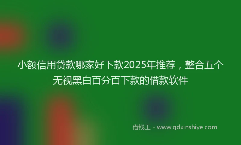 小额信用贷款哪家好下款2025年推荐，整合五个无视黑白百分百下款的借款软件