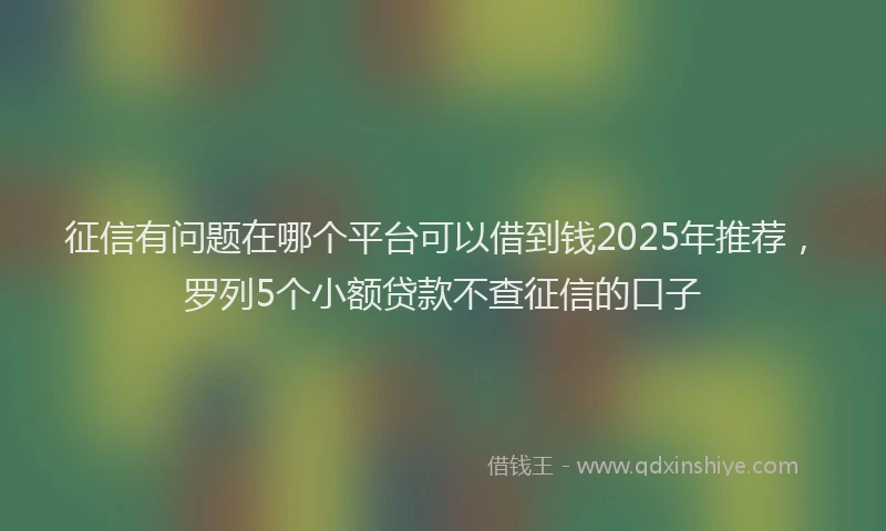 征信有问题在哪个平台可以借到钱2025年推荐，罗列5个小额贷款不查征信的口子