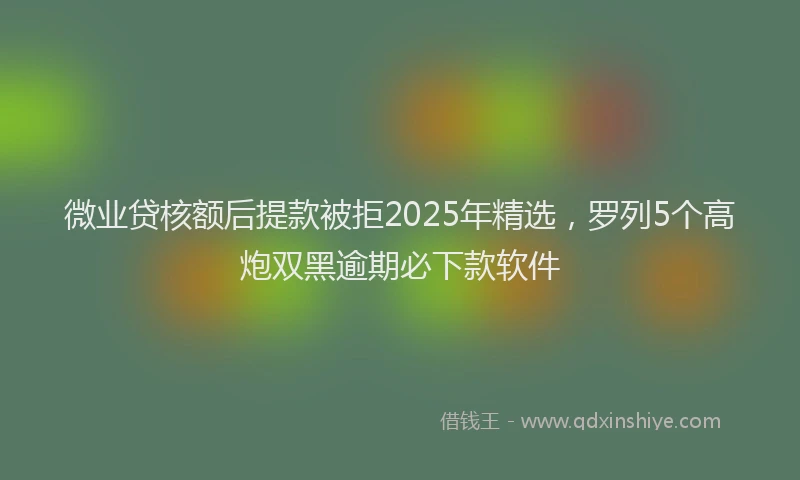 微业贷核额后提款被拒2025年精选，罗列5个高炮双黑逾期必下款软件