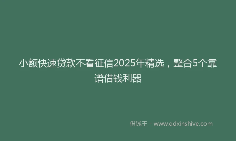 小额快速贷款不看征信2025年精选，整合5个靠谱借钱利器