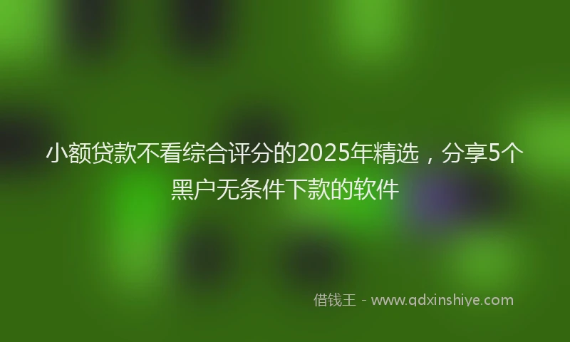 小额贷款不看综合评分的2025年精选，分享5个黑户无条件下款的软件