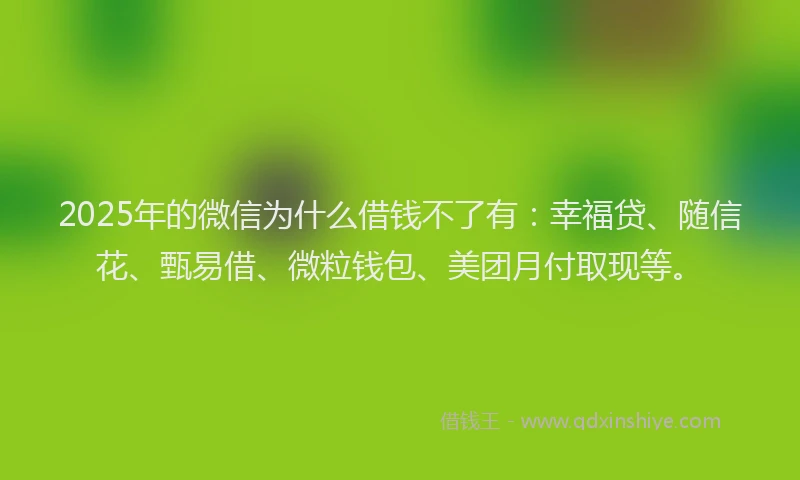 2025年的微信为什么借钱不了有：幸福贷、随信花、甄易借、微粒钱包、美团月付取现等。