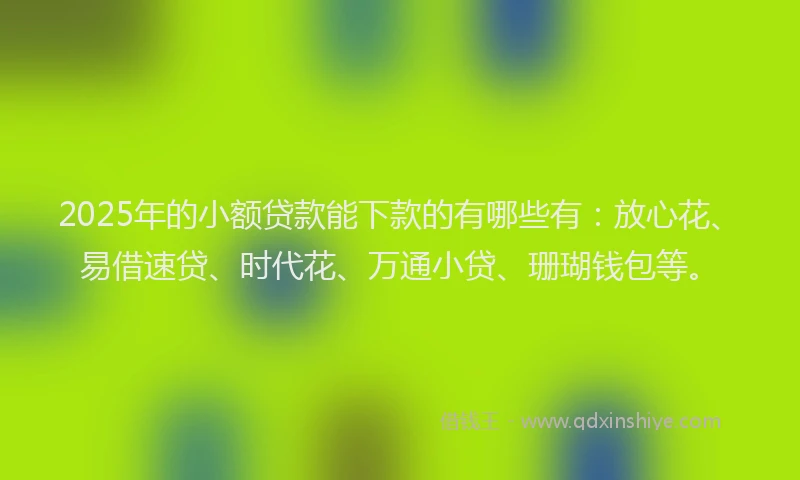 2025年的小额贷款能下款的有哪些有：放心花、易借速贷、时代花、万通小贷、珊瑚钱包等。
