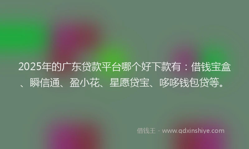 2025年的广东贷款平台哪个好下款有：借钱宝盒、瞬信通、盈小花、星愿贷宝、哆哆钱包贷等。
