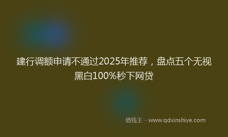 建行调额申请不通过2025年推荐，盘点五个无视黑白100%秒下网贷