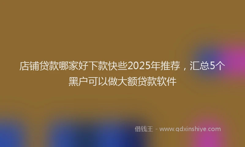 店铺贷款哪家好下款快些2025年推荐，汇总5个黑户可以做大额贷款软件