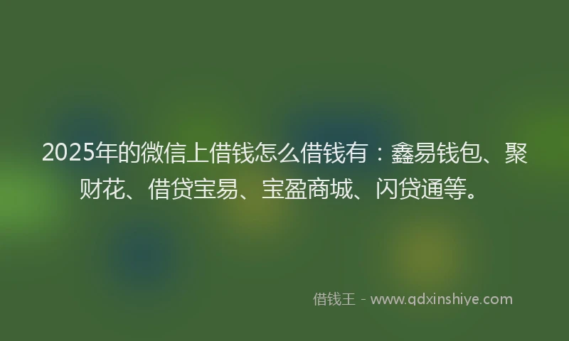2025年的微信上借钱怎么借钱有：鑫易钱包、聚财花、借贷宝易、宝盈商城、闪贷通等。