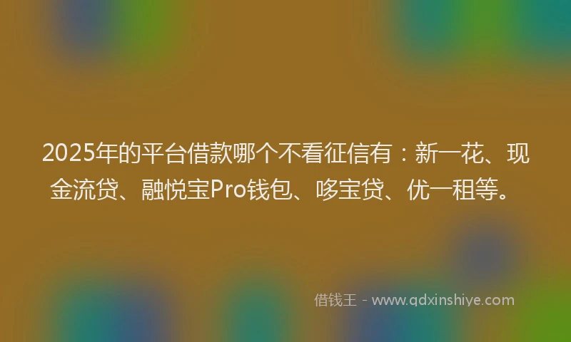 2025年的平台借款哪个不看征信有：新一花、现金流贷、融悦宝Pro钱包、哆宝贷、优一租等。