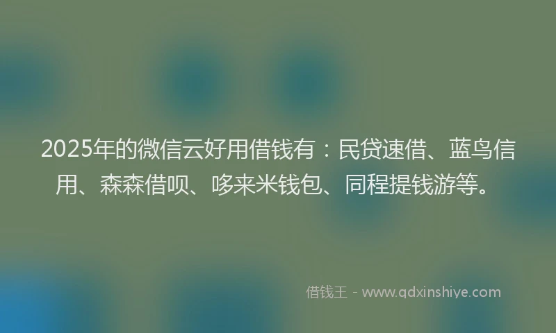 2025年的微信云好用借钱有：民贷速借、蓝鸟信用、森森借呗、哆来米钱包、同程提钱游等。