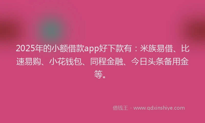 2025年的小额借款app好下款有：米族易借、比速易购、小花钱包、同程金融、今日头条备用金等。