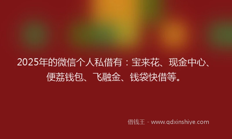 2025年的微信个人私借有：宝来花、现金中心、便荔钱包、飞融金、钱袋快借等。
